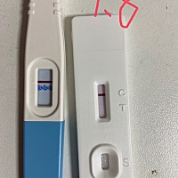 绒促第6天