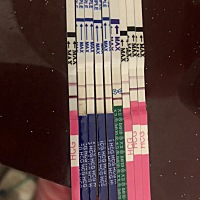 好孕，明天去抽血