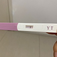 到底怀没怀