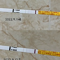 31-1号之间排卵  感觉有点粉印呢