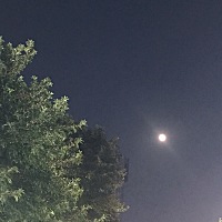 备了大半年，没动静，有做了孕前检查的。为啥别人都是结婚了没多久就怀上了都没做备孕，😮‍💨，天...