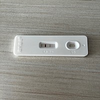 末次8月15号的姐妹你们开始有孕反应了吗？