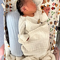 十四天长肉肉1.2斤