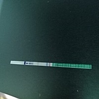 9月22号排卵期，这个期间前后还有排卵期当天都同房了，这两天小腹有点下坠感总感觉大姨妈要来了，6号是...