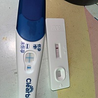 我这是成功还是失败，不会看，