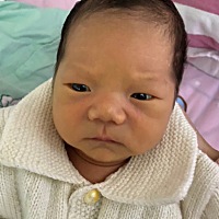 麻烦大家告知一下