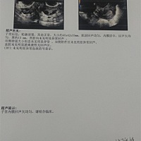 快点，快来快来啊，快来投入我的怀抱