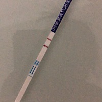 激动的心情