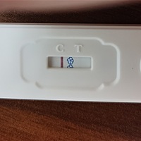 这是不是没有呀