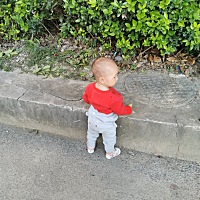 小宝也快会走路了，大宝可以和我们简单沟通了。 今年物价特别高，十几只虾就要二三十块钱，大宝一病小宝...