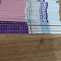 22号排卵同房了，今天发现有第二条隐约的双杠，不知道是不是怀孕了。姐妹们可以给我说一下吗