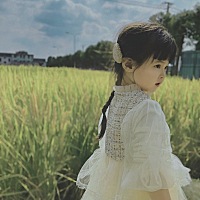 公主裙花宝的最爱