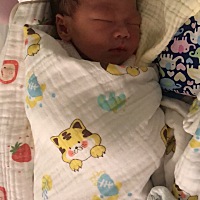 2022.11.19我的小老虎🐯超可爱