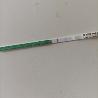 怀孕了吗朋友们