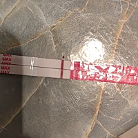 请大家帮忙看下这是有了还是没有