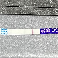 今天和昨天的 这是有了吗？白板白麻了已经  这是有还是没有？🫠 昨天的 今早的
