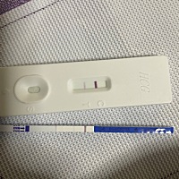 末次11月8号  22号排的卵 昨天测出来怀孕 今晚上突然出血 啥情况 要疯了