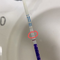 怀孕了吗？