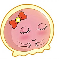 女性备孕期间要想提高卵子质量，需要饮食多样化、饮食均衡，不要偏食。  常见的饮食有以下几 种: 1、蛋...