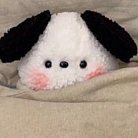 来聊聊天？