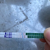 月经推迟八天，今天早上测了一下两条杠是不是怀孕了￼