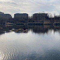 生活会磨平你的棱角，磨灭你的执念。什么是活明白了，就是痴情的人开始相信人性，逐利的人散尽家财，争...