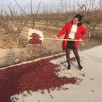 我的婆婆是特别重男轻女，我生了两个女儿，每年回老家他都要当着大姑子和解封的面说让我和老公在生一个...