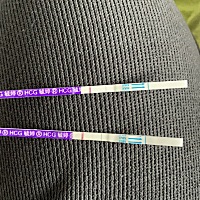 谁能告诉我这是什么情况，也不知道是有还是没有，没有吧大姨妈不来，腰疼，偶尔小腹疼，胸疼，像是来的...