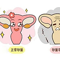 很多女性朋友久备不孕，可能并不清楚是什么原因造成的，其实是卵巢功能下降了，那么自己的卵巢功能到底...