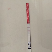 排卵试纸算是强阳了吧，希望这个月好孕！