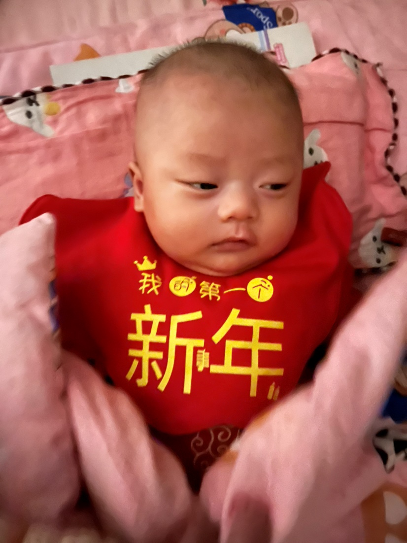 出生了不到两个月的小老虎，已经两岁了