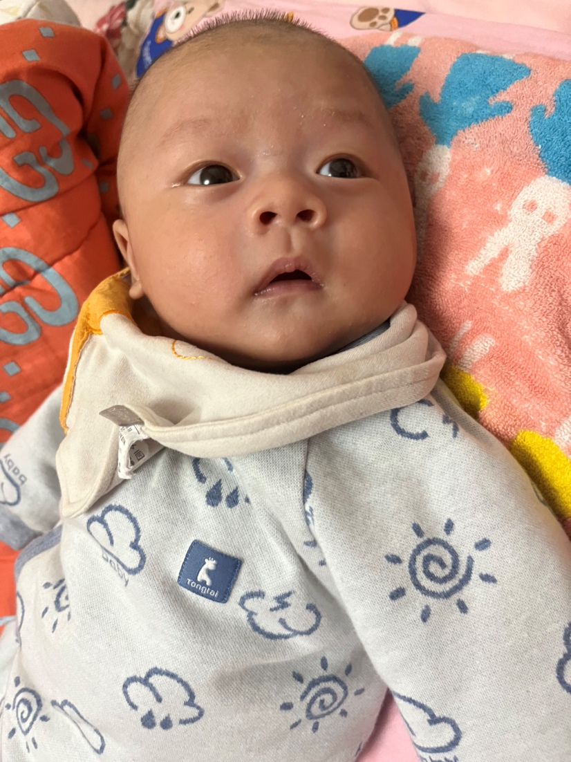 这是养了快一个半月的样子，真的是越养越好看
