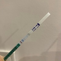 是怀孕了吗？