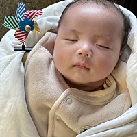 这个2月龄的小朋友太太太可爱了吧