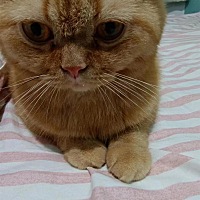 要是它是我的孩子就好了不孕不育真的压 力好大 它是真的好乖！睡着真好要是它是孩子就好了不孕 真的好焦...