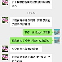 姐妹们， 我家来福从小跟着我身边长大 但是我查出来早衰最近在调理身体，调理完去做试管 婆婆就想把猫带...
