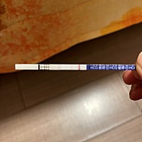这个怀上了吗。？晚上测的