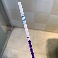 这是不是怀孕了
