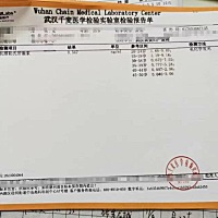 吃中药已经半个月  感觉没有什么用 姐妹们你说我是继续吃还是换西医 因为我想把身体调理好就做试管