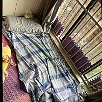 远嫁 离婚的第一步 偷偷的把不值钱的衣服全部都搬走 我还是犹犹豫豫 但是没办法 真的很痛苦和恐惧 外地...