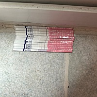 3.8号例假来。 这是排卵期测试排卵～。 最后一条是刚测试的。是不是马上要排卵了呀 亲。 测出来两条杠以...