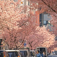 明天就去做试管前的检查了，看医生怎么给意见吧，事情到这一步了，只能去试试了，我老公比我大几岁，但...
