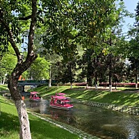 昨天晚上跟老公聊了下，还是决定供吧！不想再等，在等我年龄太大了，前期的促排失败，希望这次能成功，...