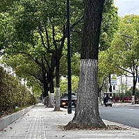 今天去检查去了，还是请假去的，果然医院就是不管周几都人多唉，今天天气不怎么好呢