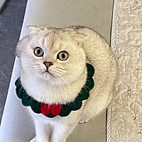 不管是什么时期，希望备孕的姐妹们姨妈期可以好好的注意保暖，晚上睡觉前泡个脚🦶会好点儿嘿嘿嘿，我...