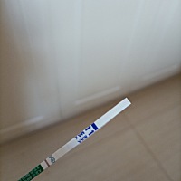 这是又有了吗？