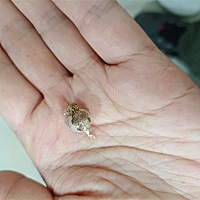还是和上次怀孕一样，同房后会有一天内裤会很湿，有股精子的味道，这差不多就是精子着床吧？我也不懂，...