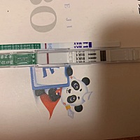 大卫一点色都没有。内心快奔溃了