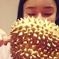 备孕可以吃榴莲，但是需要适量。备孕期问适量的吃榴莲可以起到以下好处： 1.由于榴莲果肉含有极高的碳水...