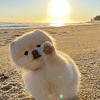 今天移植的第10天，加油！明天去买个验孕棒 测一下 期待开奖！